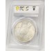 UNITED STATES OF AMERICA 1923 . ONE 1 DOLLAR COIN . PCGS SLABBED